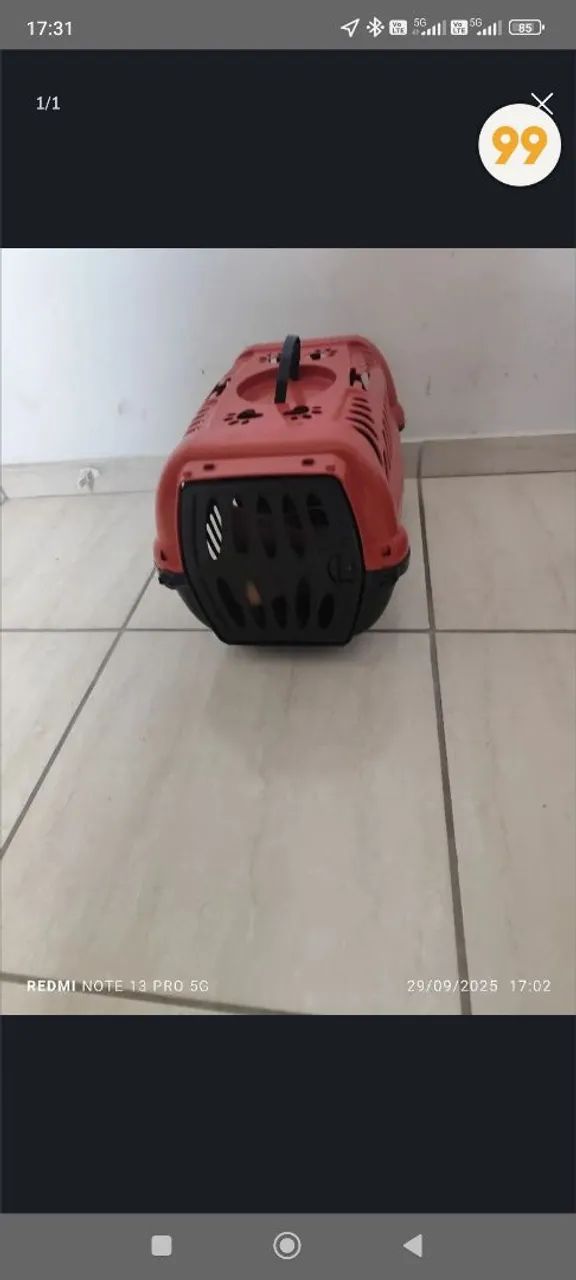 Casa de cão pequeno 64319319537283120