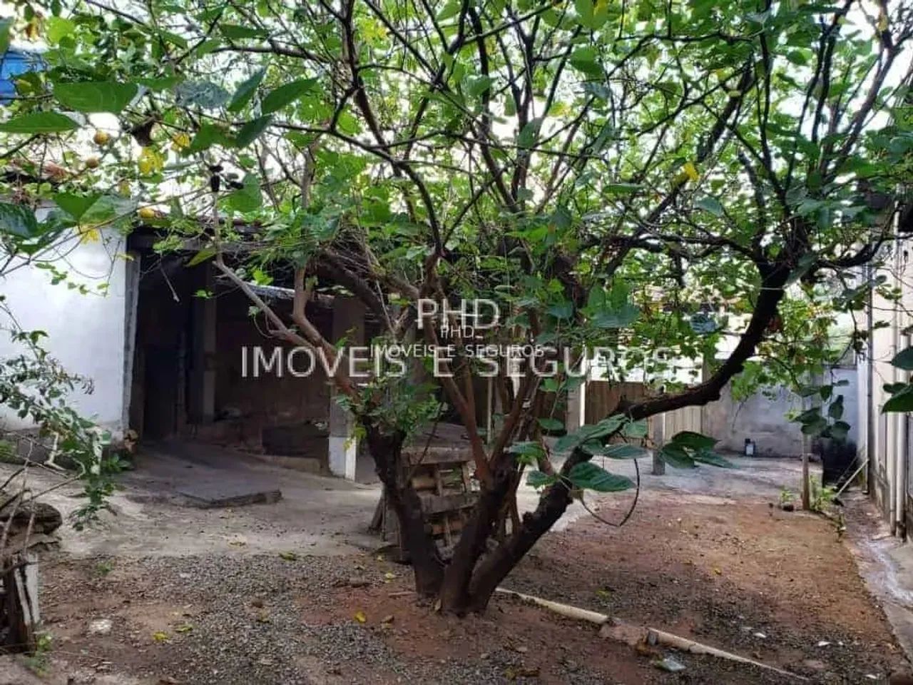 Lote para alugar Ribeiro de Abreu Belo Horizonte - Foto 5