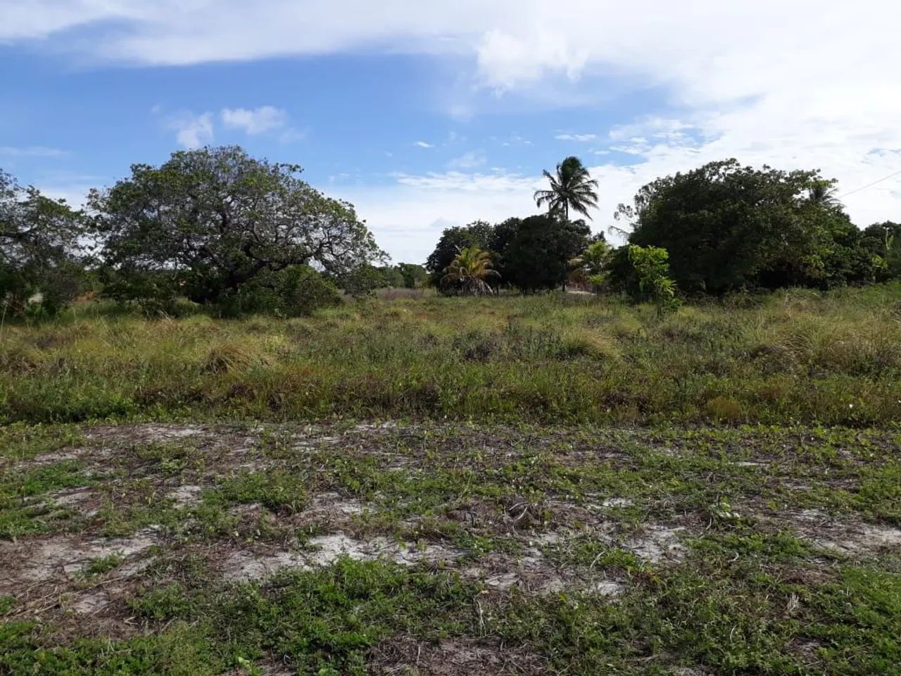 Lote com 525 m², sendo 15 X 35, 30 metros da ce 040, Pindoretama, CE - Foto 3