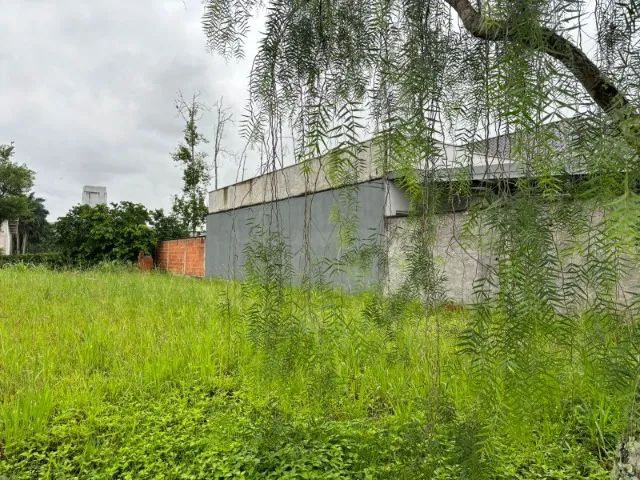 TERRENO À VENDA EM PIRABEIRABA - JOINVILLE/SC  - Foto 6
