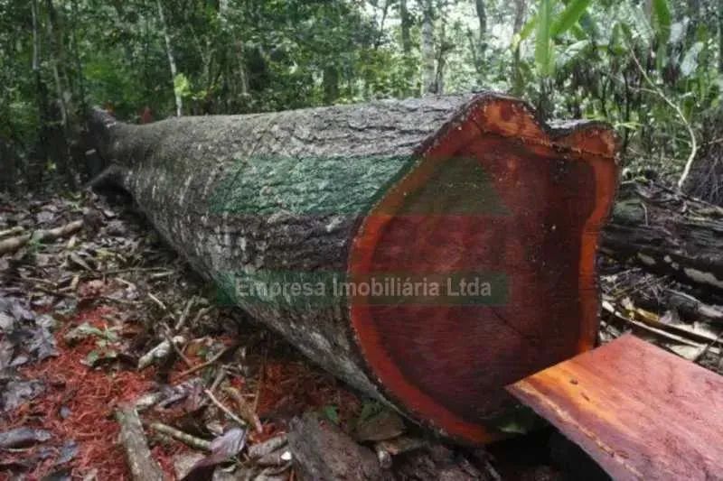 TERRENO PARA VENDA - Foto 2
