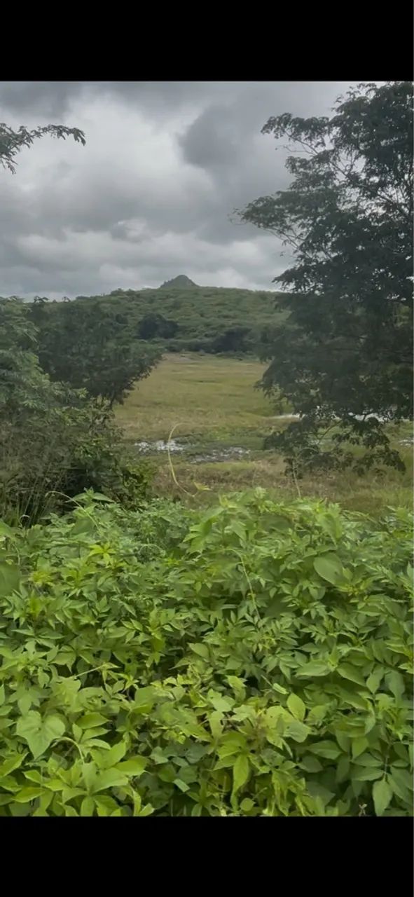 102 ha oportunidade de ter sua fazenda - Foto 3