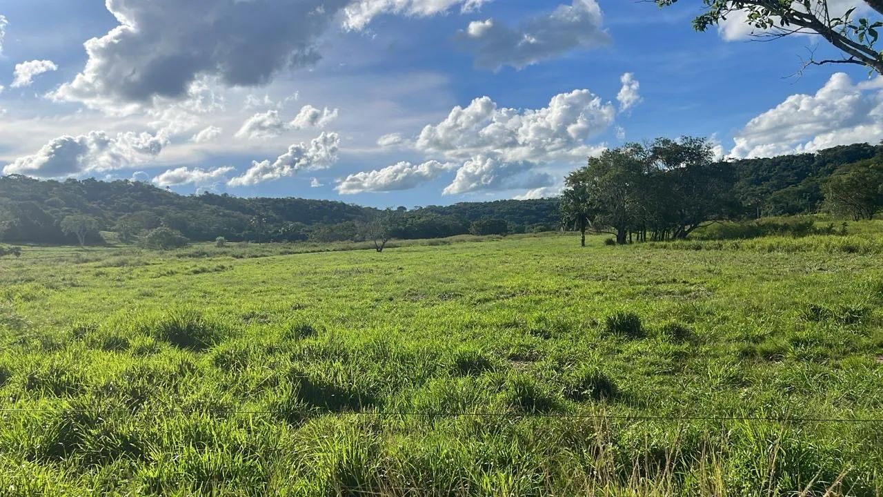 Fazenda dupla aptidão Gurinhata  - Foto 2