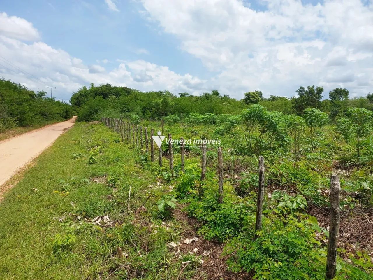 Terreno no povoado nova Olinda a venda - Foto 5