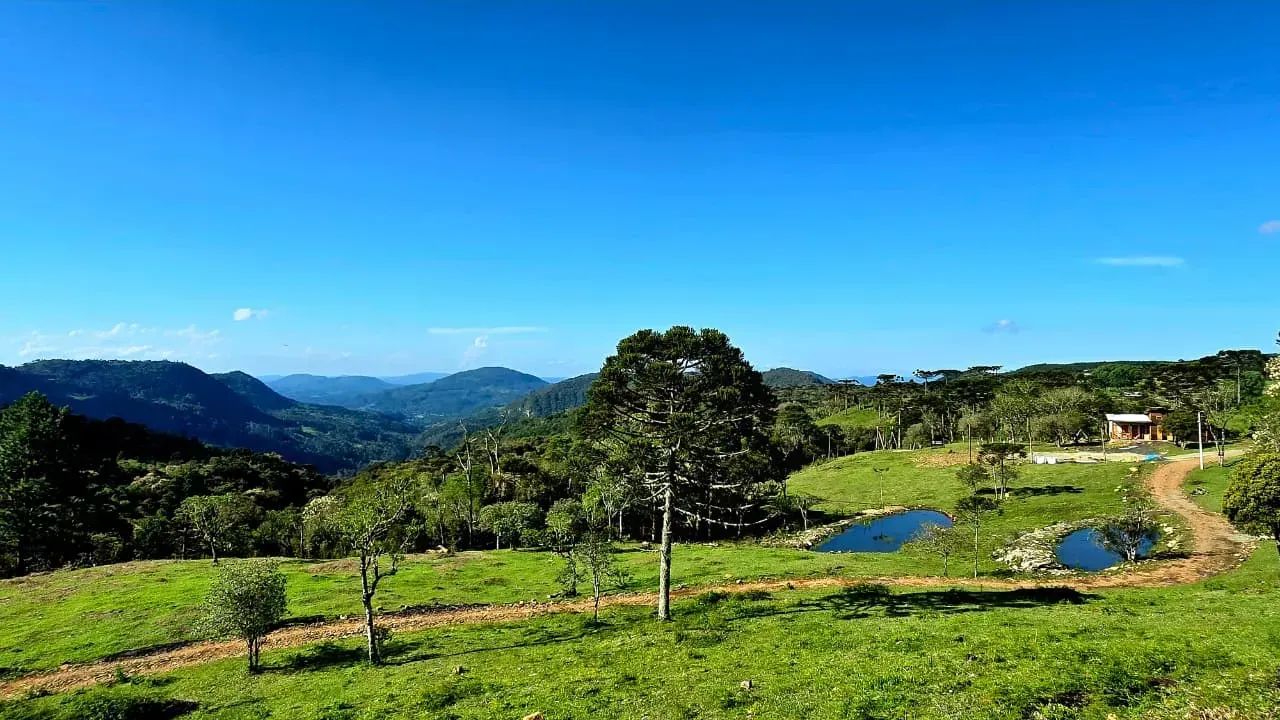 Terreno de Altitude com 8,6 hectares. - Foto 2