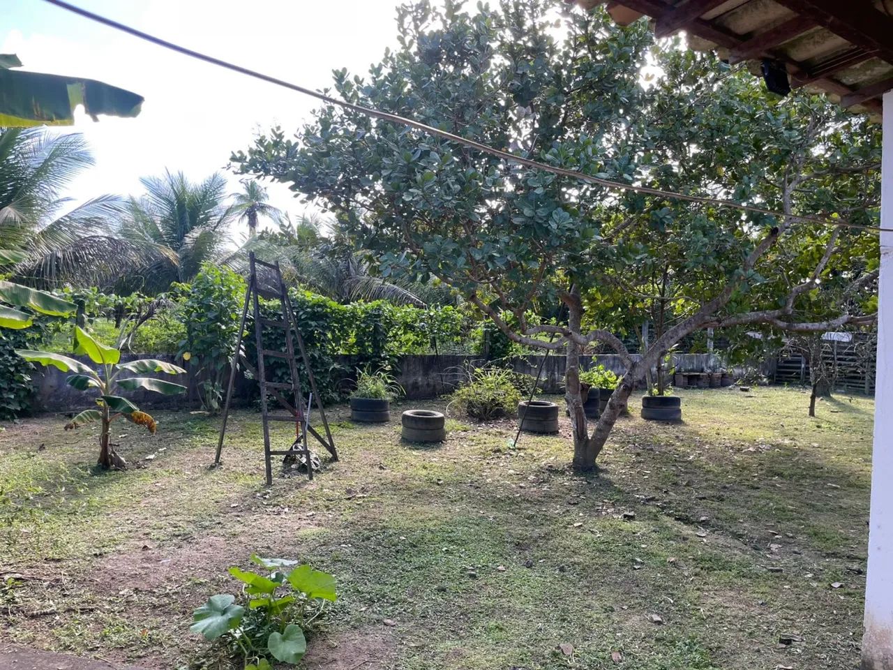 Chácara no povoado macaquinho em umbaúba - Foto 3