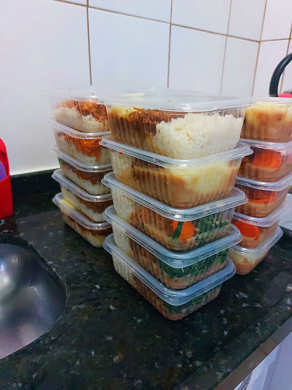 Marmitas congeladas para semana .