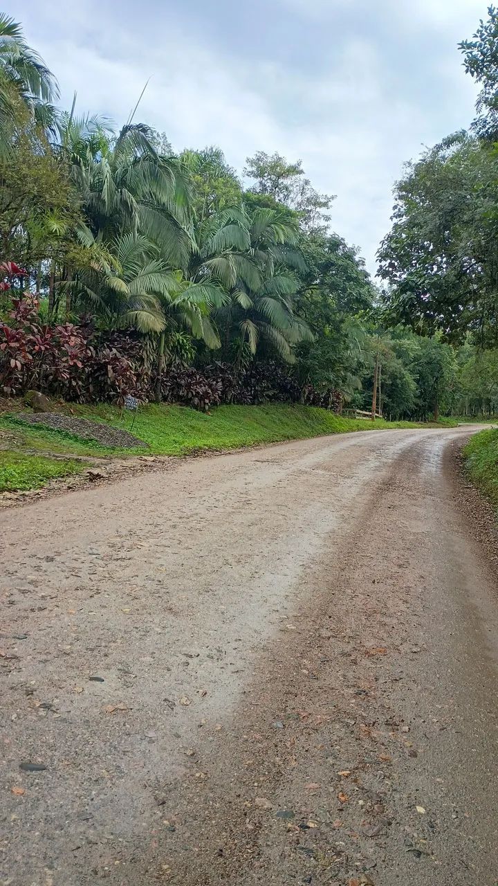 Chácara em Antonina  - Foto 2