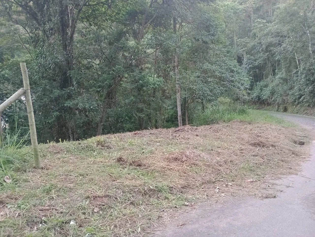 Foto - Nova Friburgo - 