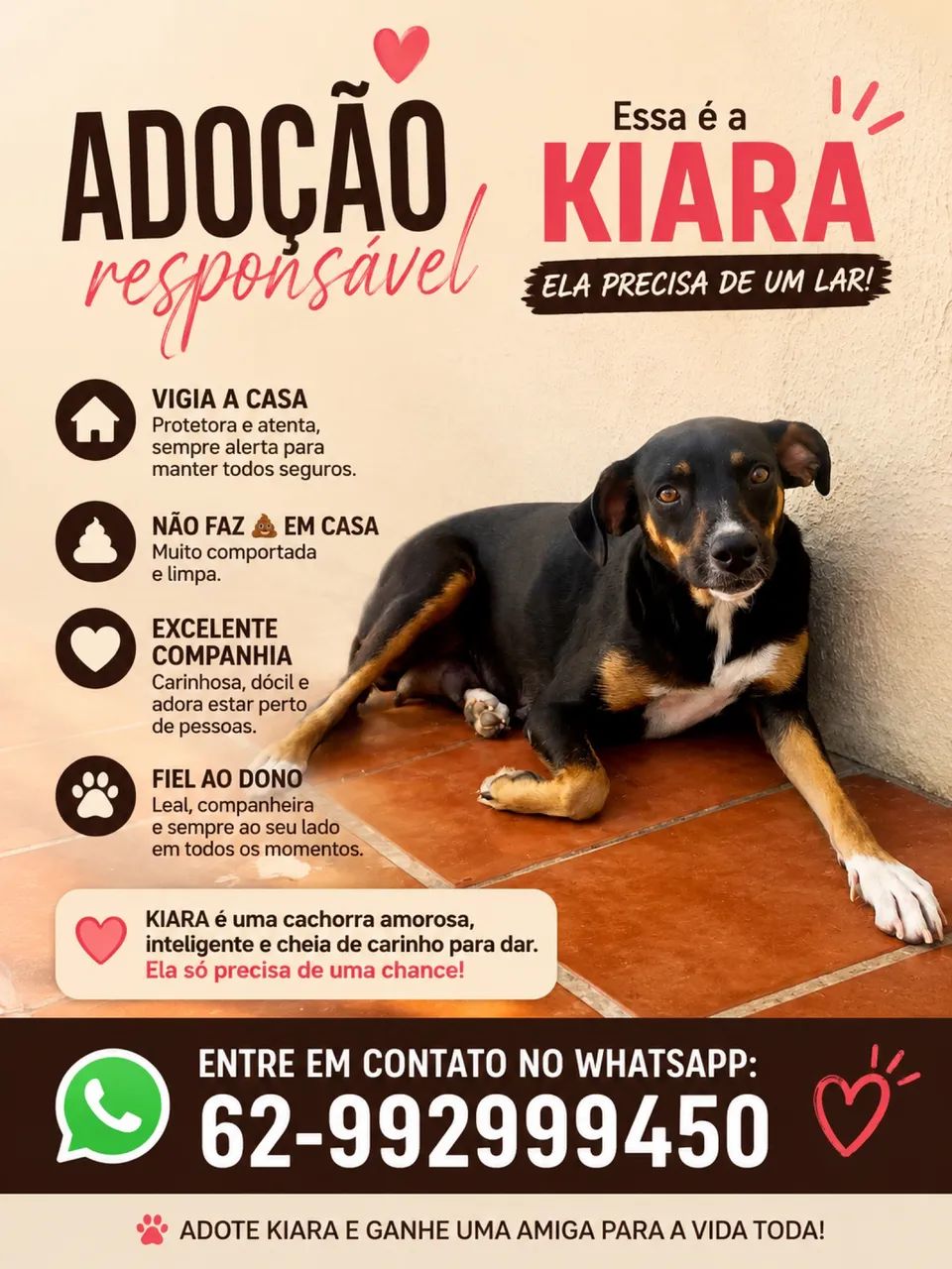 Cadela para adoção 