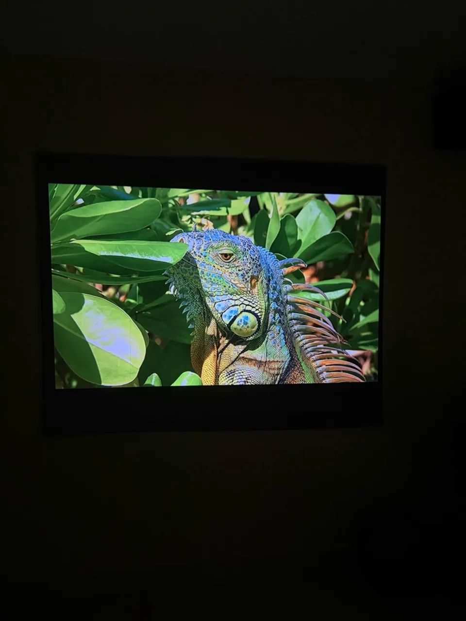 Projetor 4k Bettdow - Foto 5