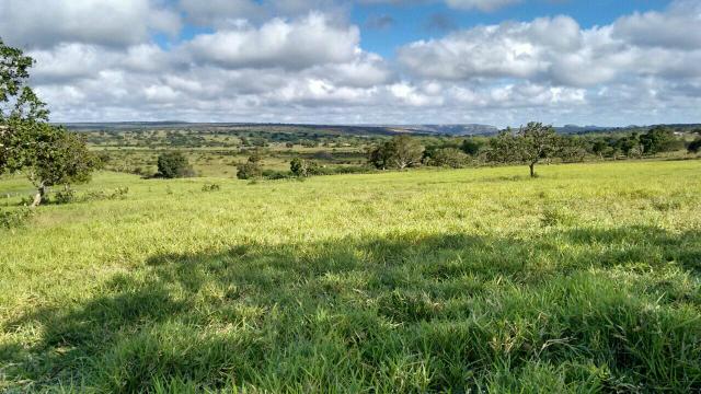 Fazenda em Ribeira do Pombal - Foto 2