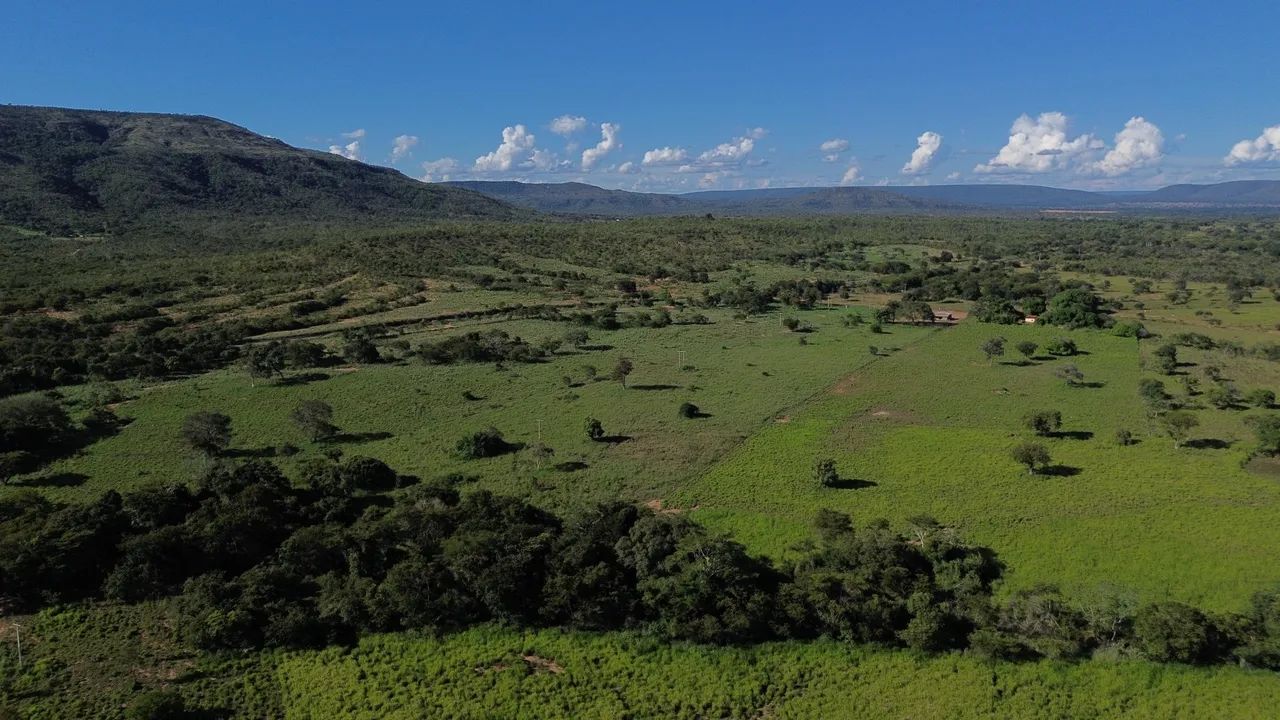 Fazenda buritis rio Pernambuco  - Foto 5