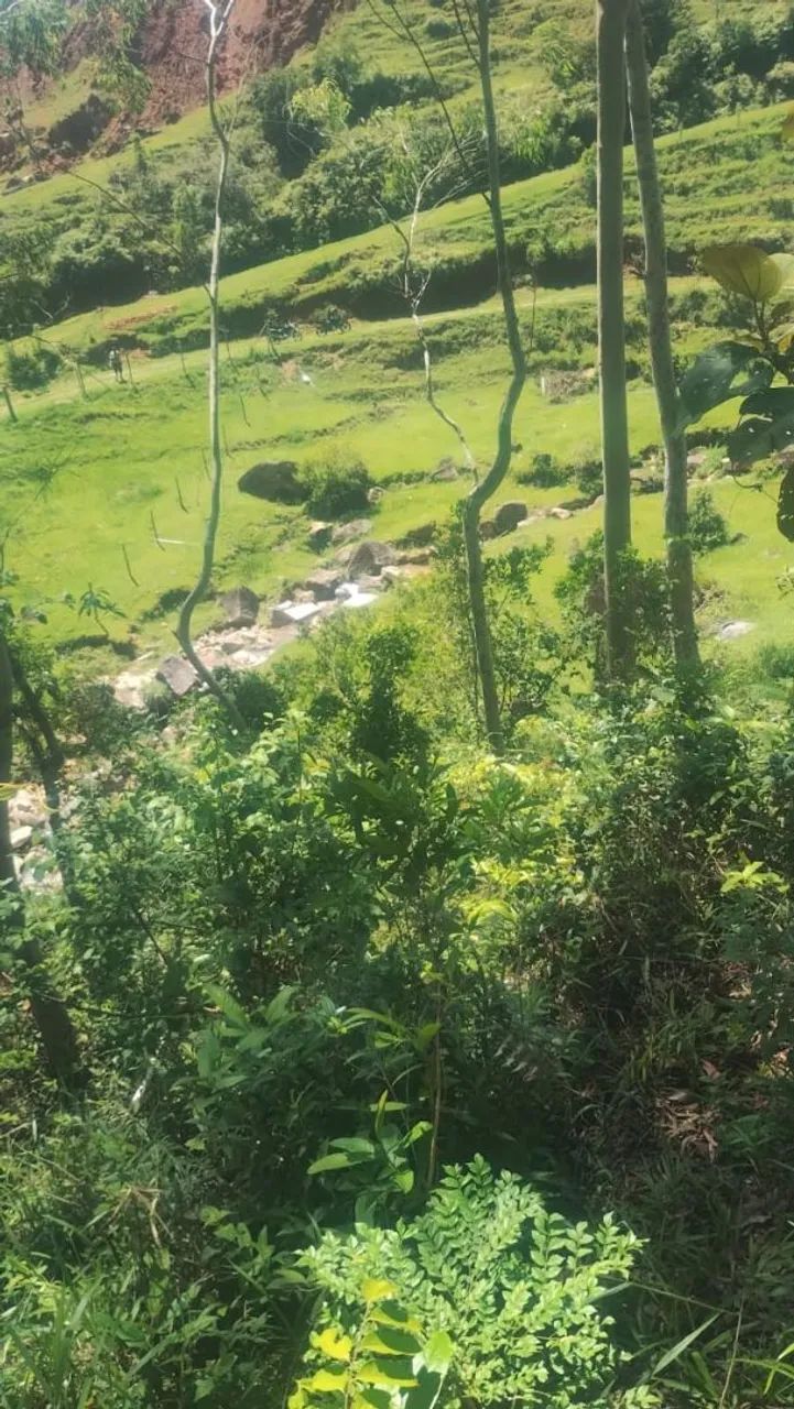 Foto - São José - Forquilhas