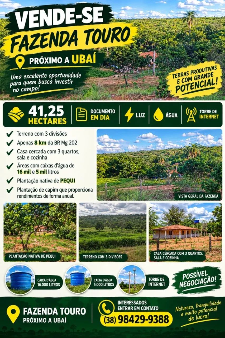 Fazenda 41 hectares 