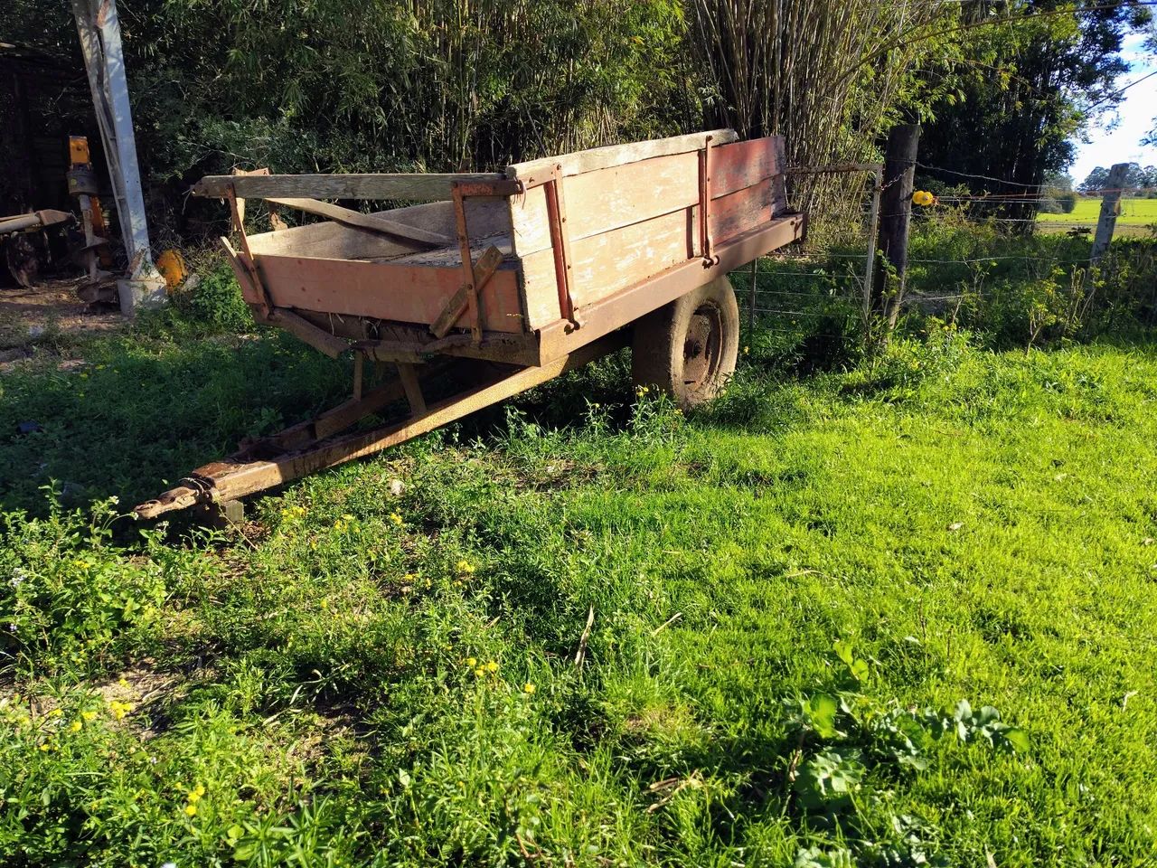 Vendo reboque basculante de um eixo para trator 