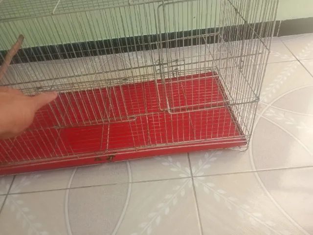 Gaiola criadeira  - Foto 4