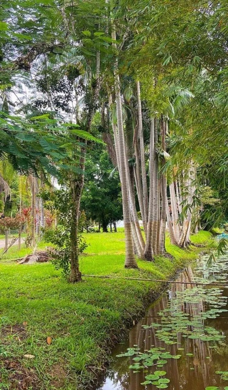 Confira essa excelente oportunidade  - Foto 2