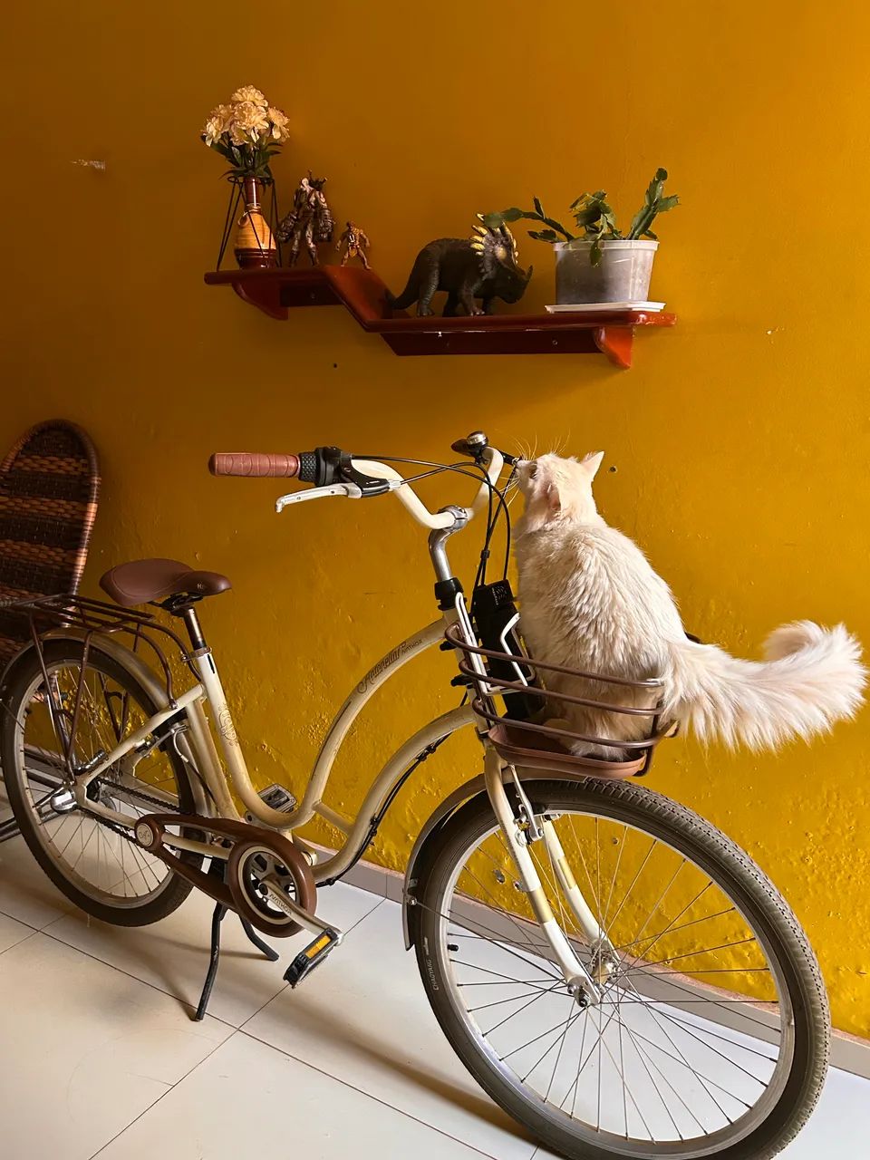 Bicicleta Antonella - Foto 2