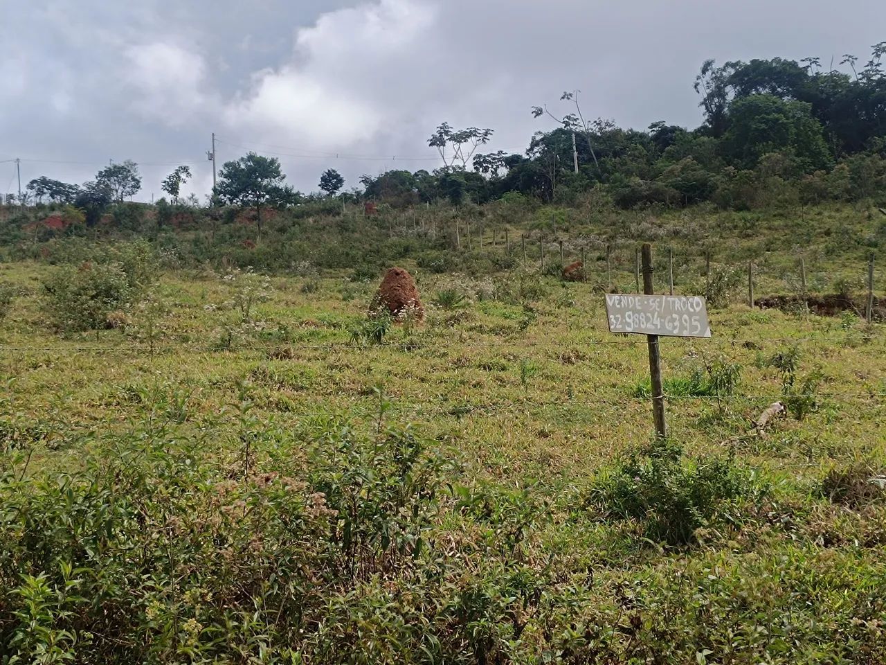 Granja Em Ewbank da Câmara.