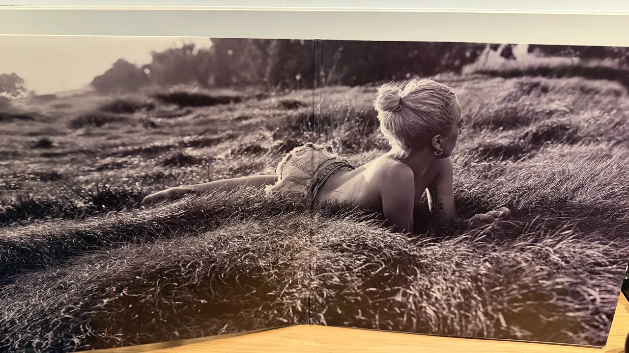 Lady Gaga - Joanne Vinil - Foto 4