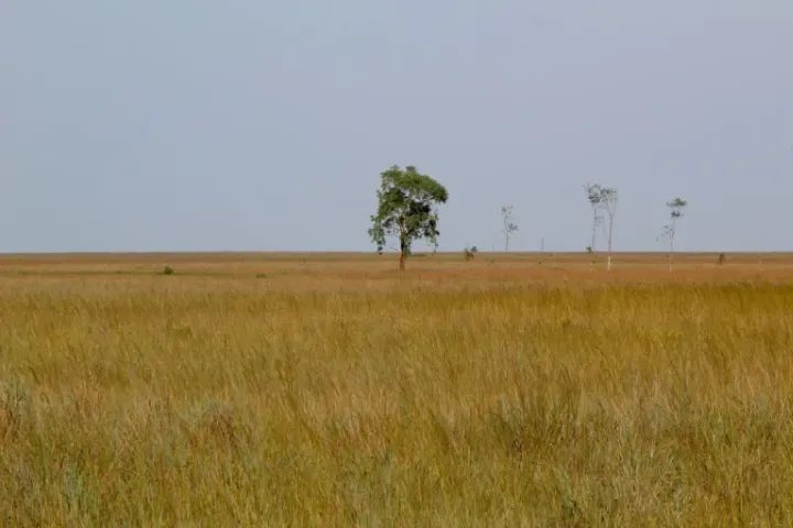 Fazenda 125 há para soja