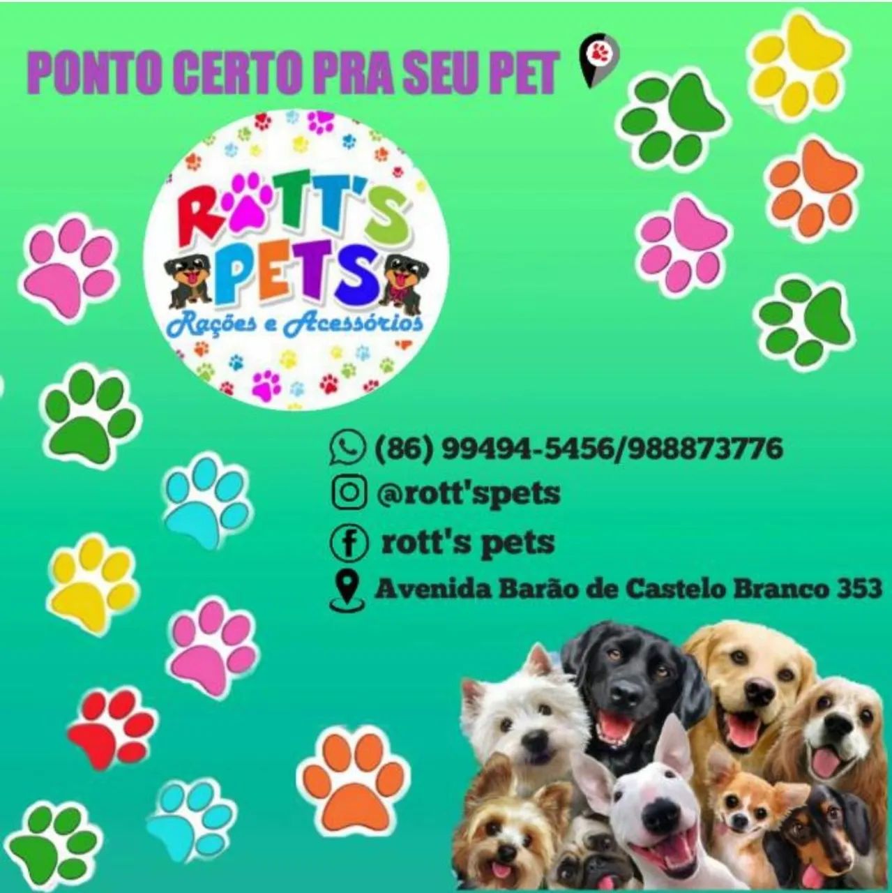 Rottweiler  - Foto 4