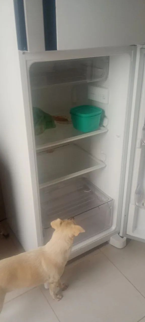 Geladeira  - Foto 5