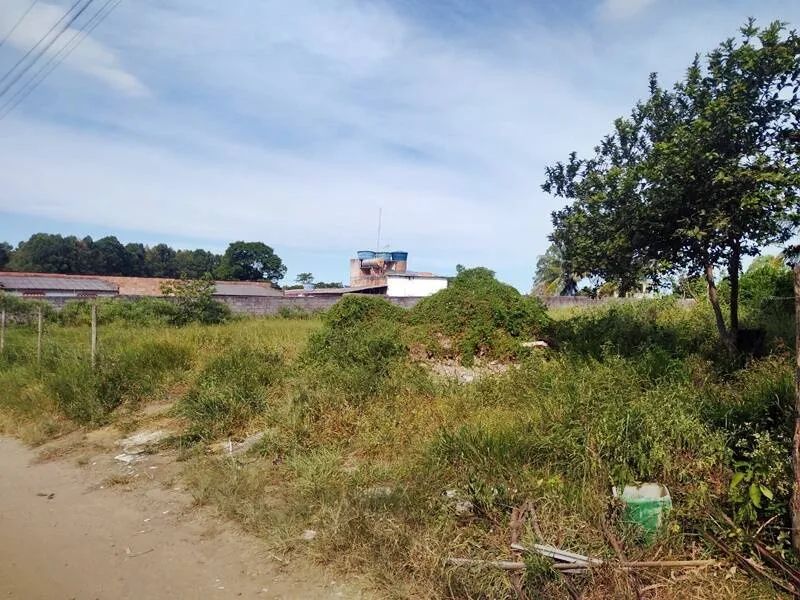 Área em Piúma - Nova Esperança - 3.100 m² - Foto 4