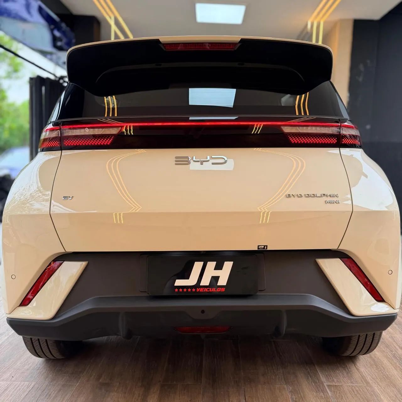 BYD Dolphin Mini (Elétrico) 2027 - Foto 4