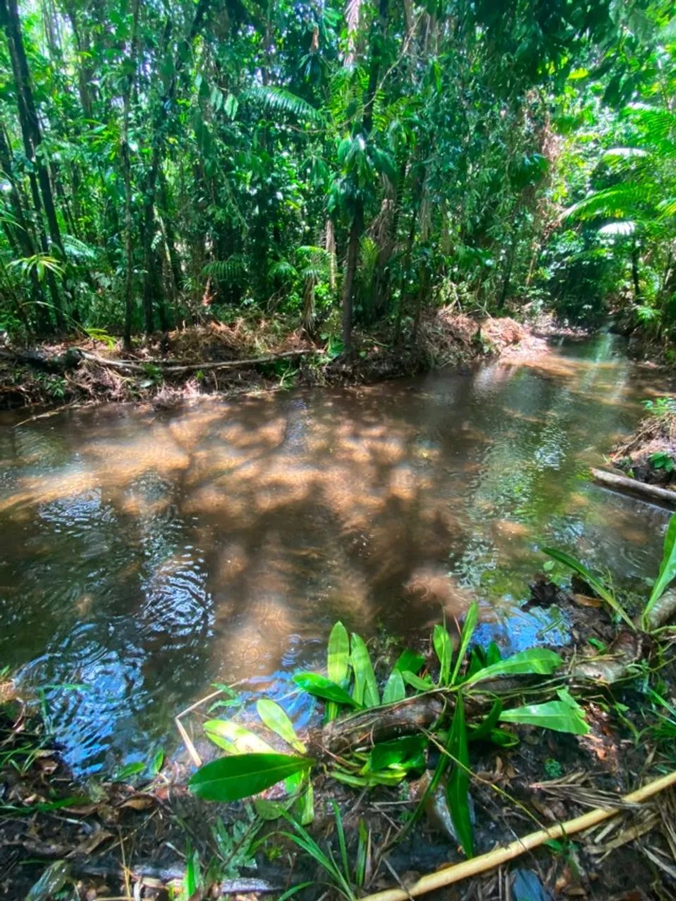 Terreno com Rio em Morros MA