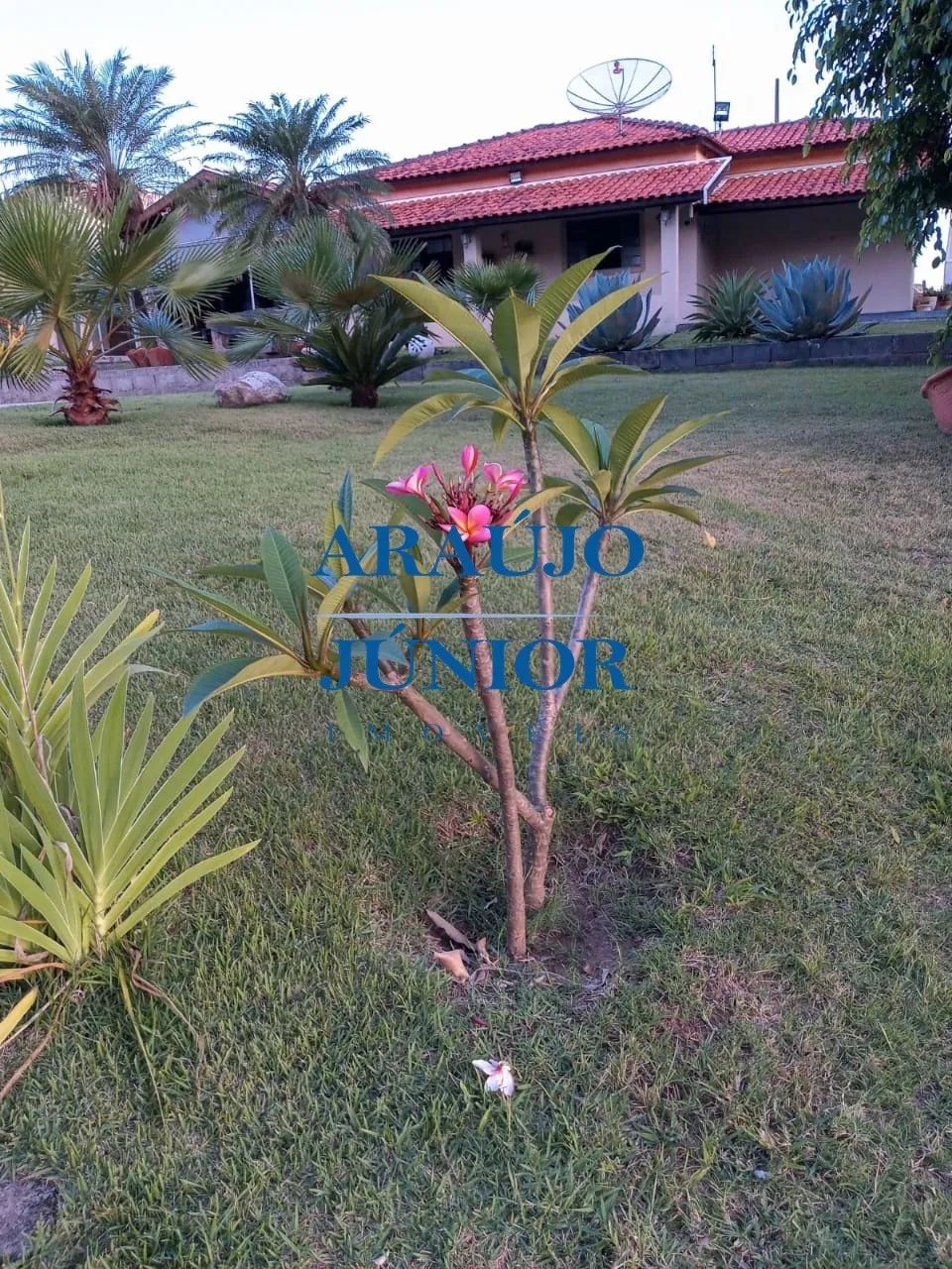 LIMEIRA - Chácara - Bairro dos Frades - Foto 3