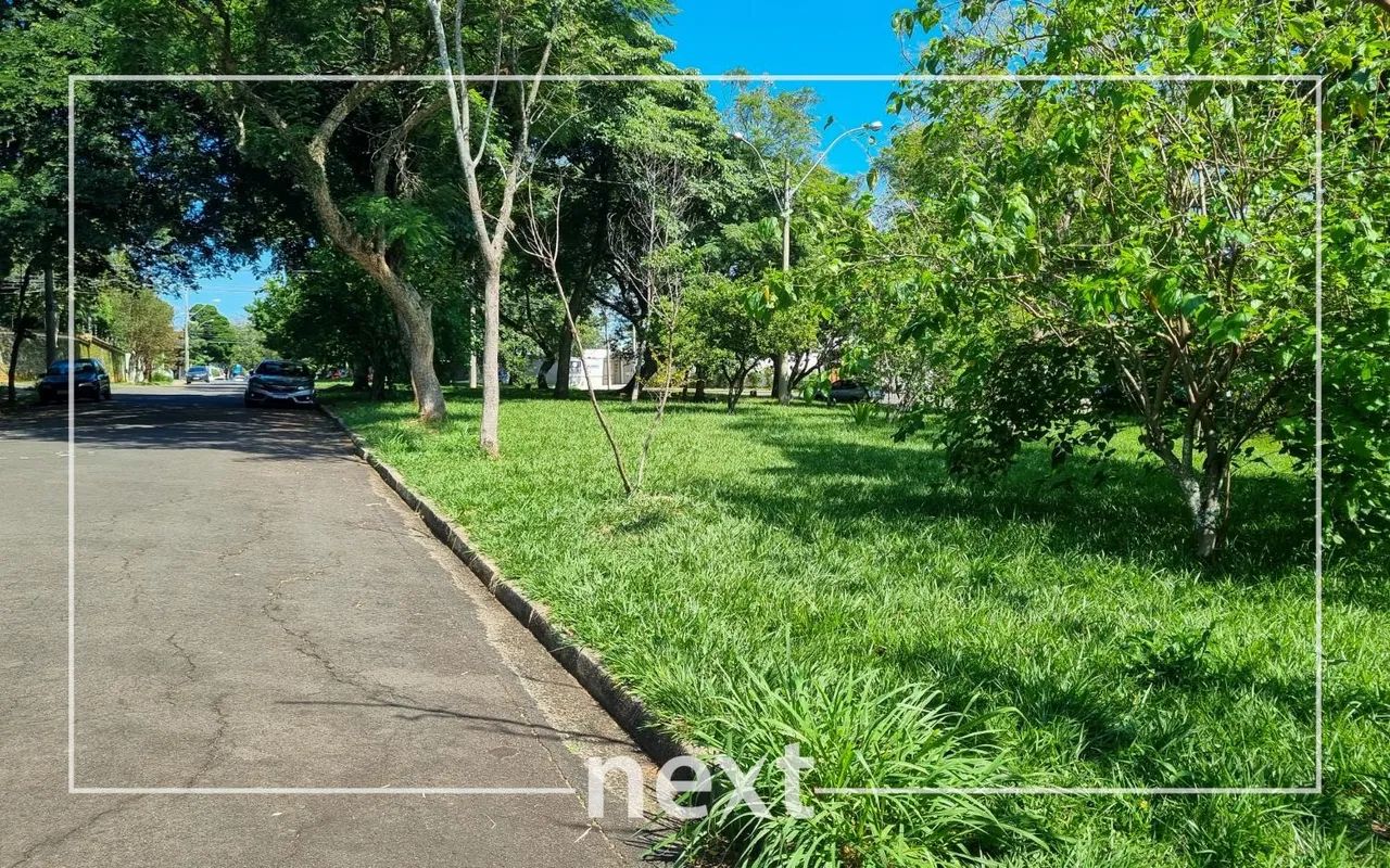 terreno - Nova Campinas - Campinas - Foto 4