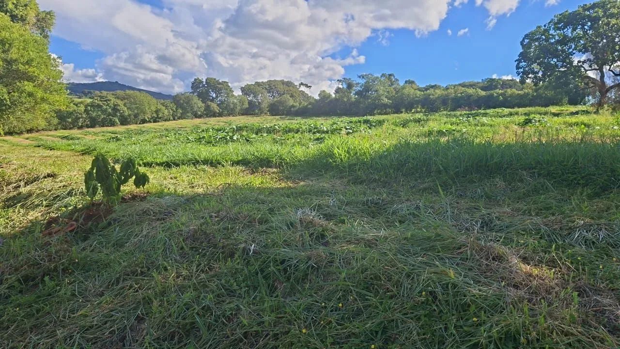 Sítio  5 alqueires em Campanha MG 