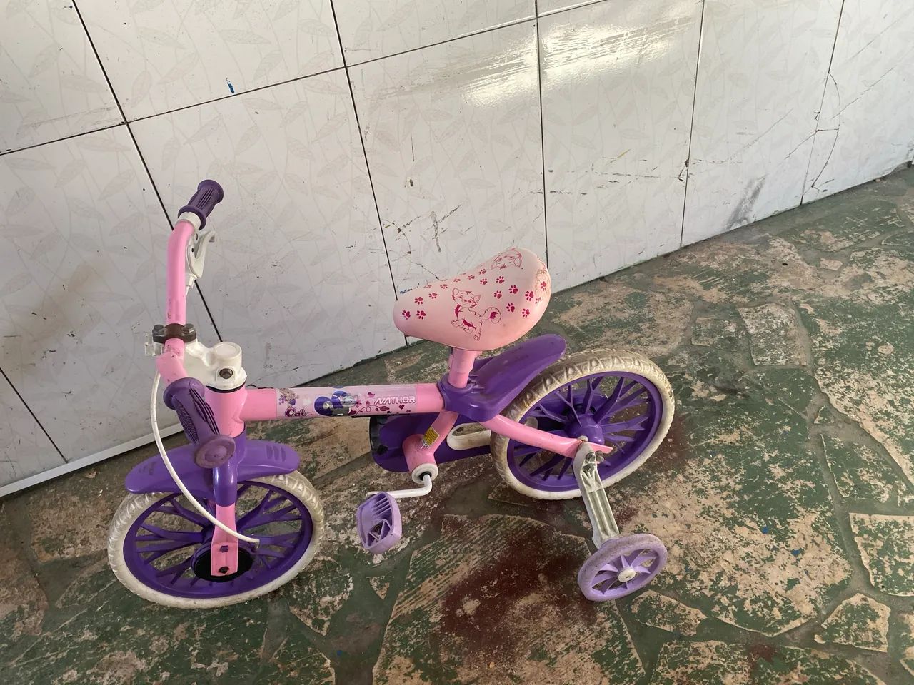 Bicicleta menina 