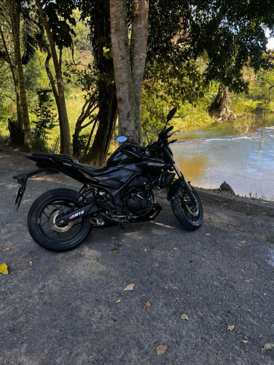 MT03 