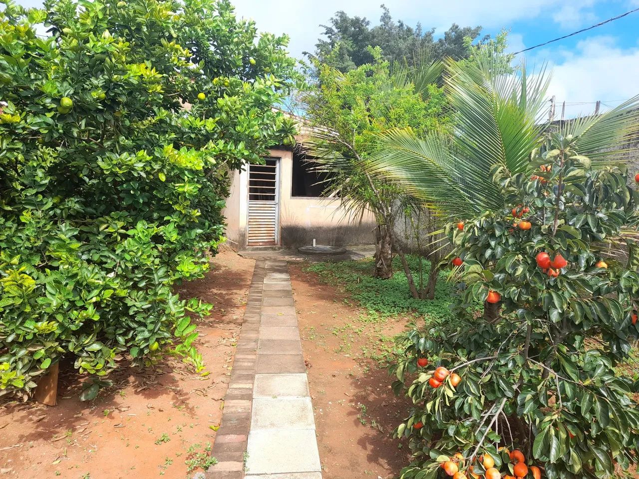  1000m² vazado com casa 3 quartos- Riacho Fundo 2 - Foto 2