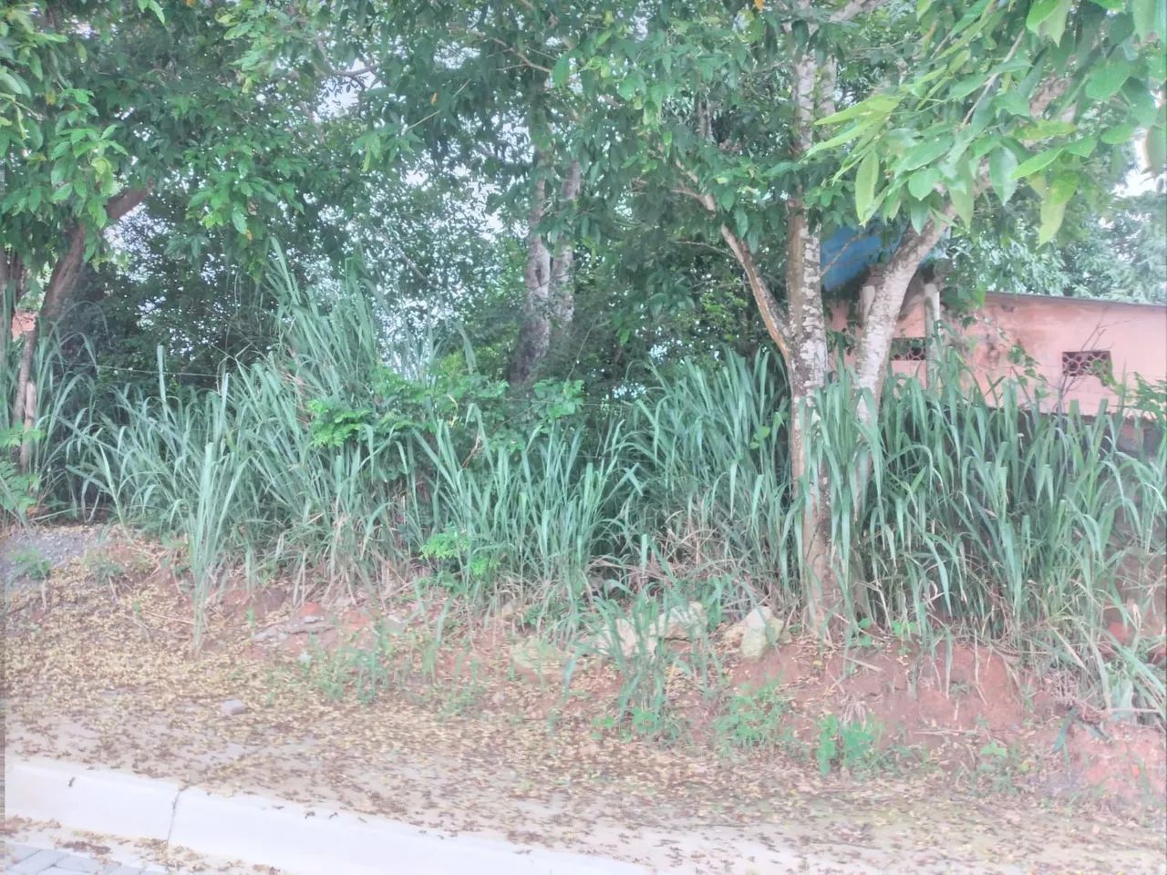 VENDO ÓTIMO TERRENO EM BACAXÁ/SAQUAREMA - Foto 4
