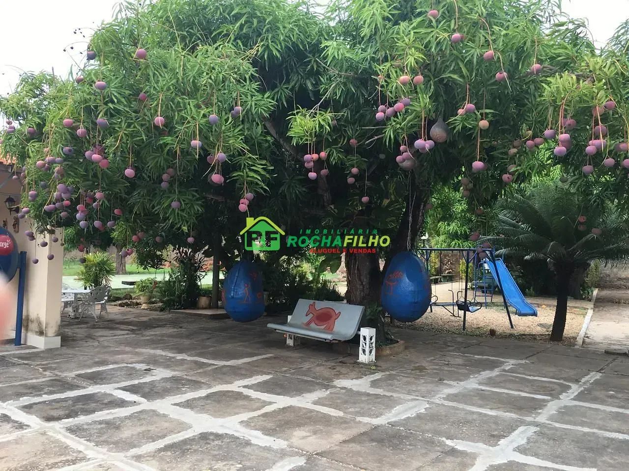 SITIO PARA VENDA - Foto 3