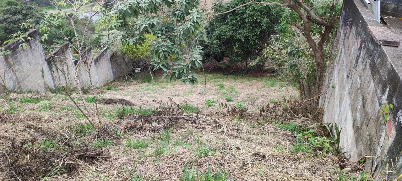 Terreno localizado no bairro Santa Maria - Foto 5