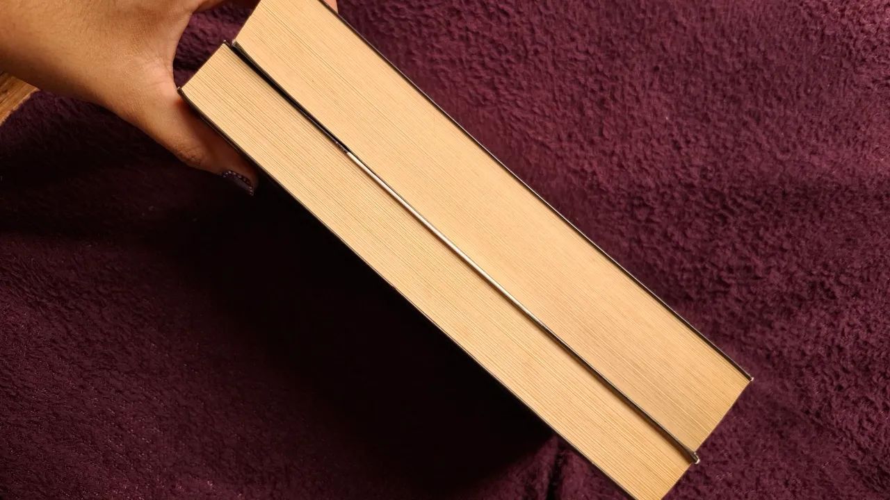 Livros "Perdida" e "Encontrada" - Foto 2
