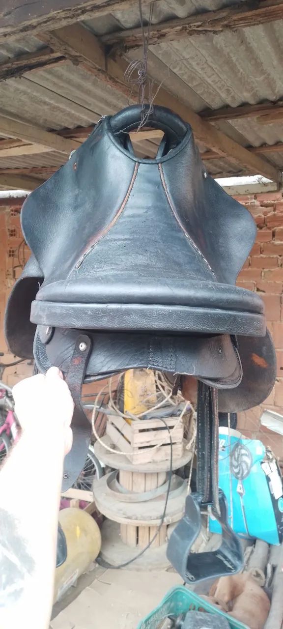 Cela para cavalo - Foto 3