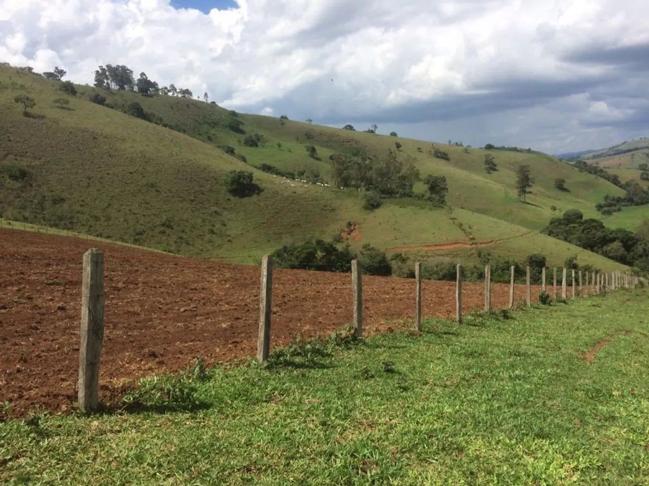 Fazenda - Município Cambuí-MG - Foto 5