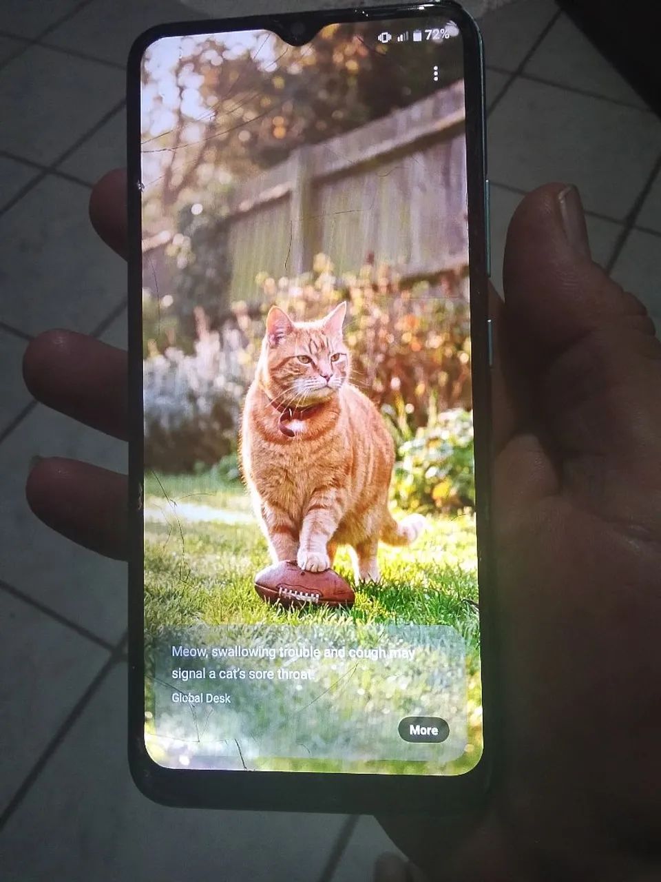 Celular realme c21 