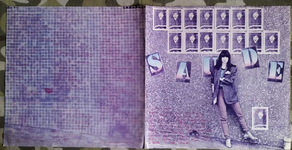 LP Vinil Rita Lee Saúde Com Encarte 1981 VG+ - Foto 3