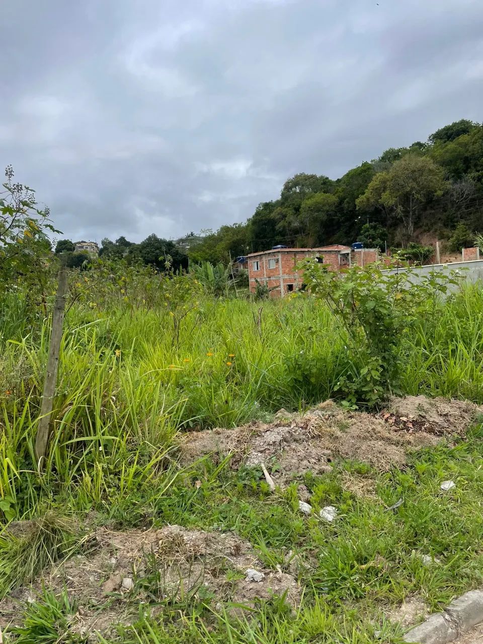 Foto - Maricá - Jacaroá