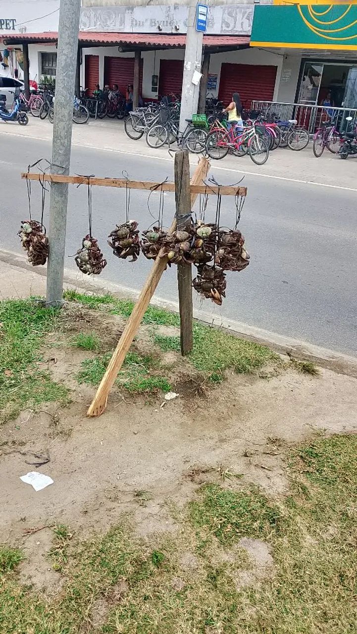 Vendendo de caranguejo ? - Foto 5