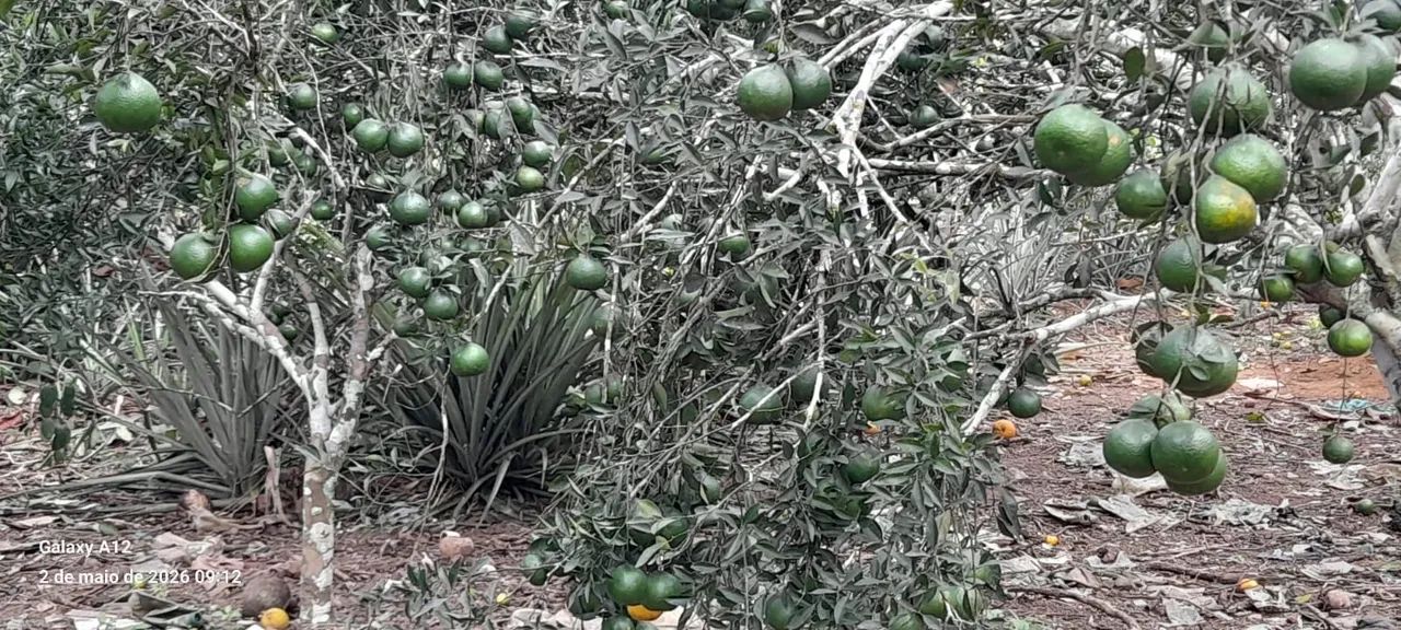 Terreno para vender  - Foto 4