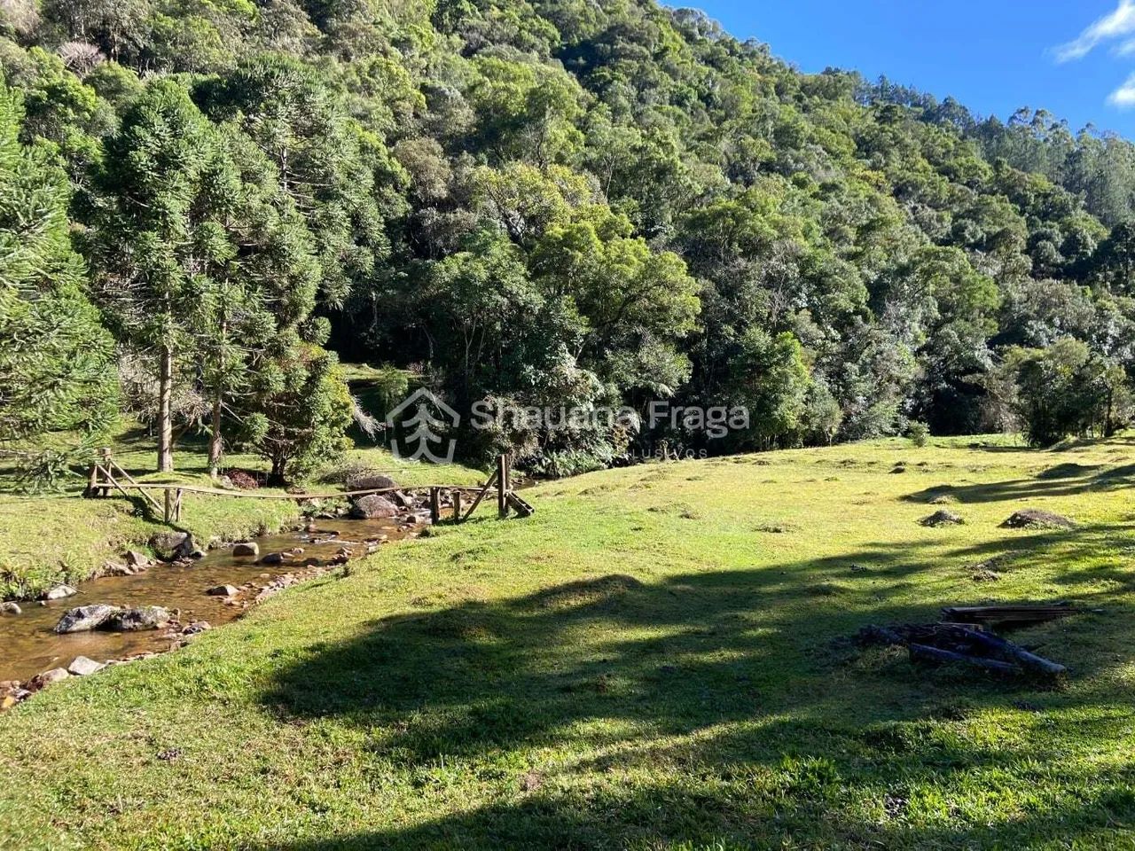 Sítio à venda no bairro Anitápolis - Anitápolis/SC - Foto 2