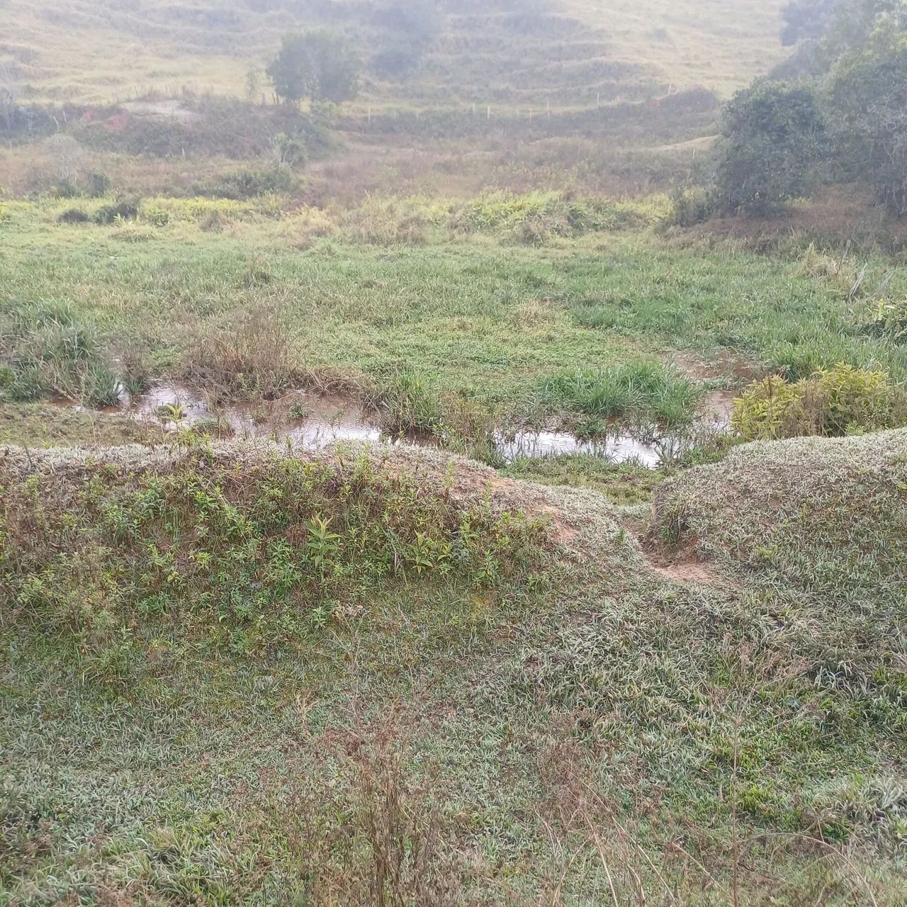 Terreno 6000m²  - Foto 2